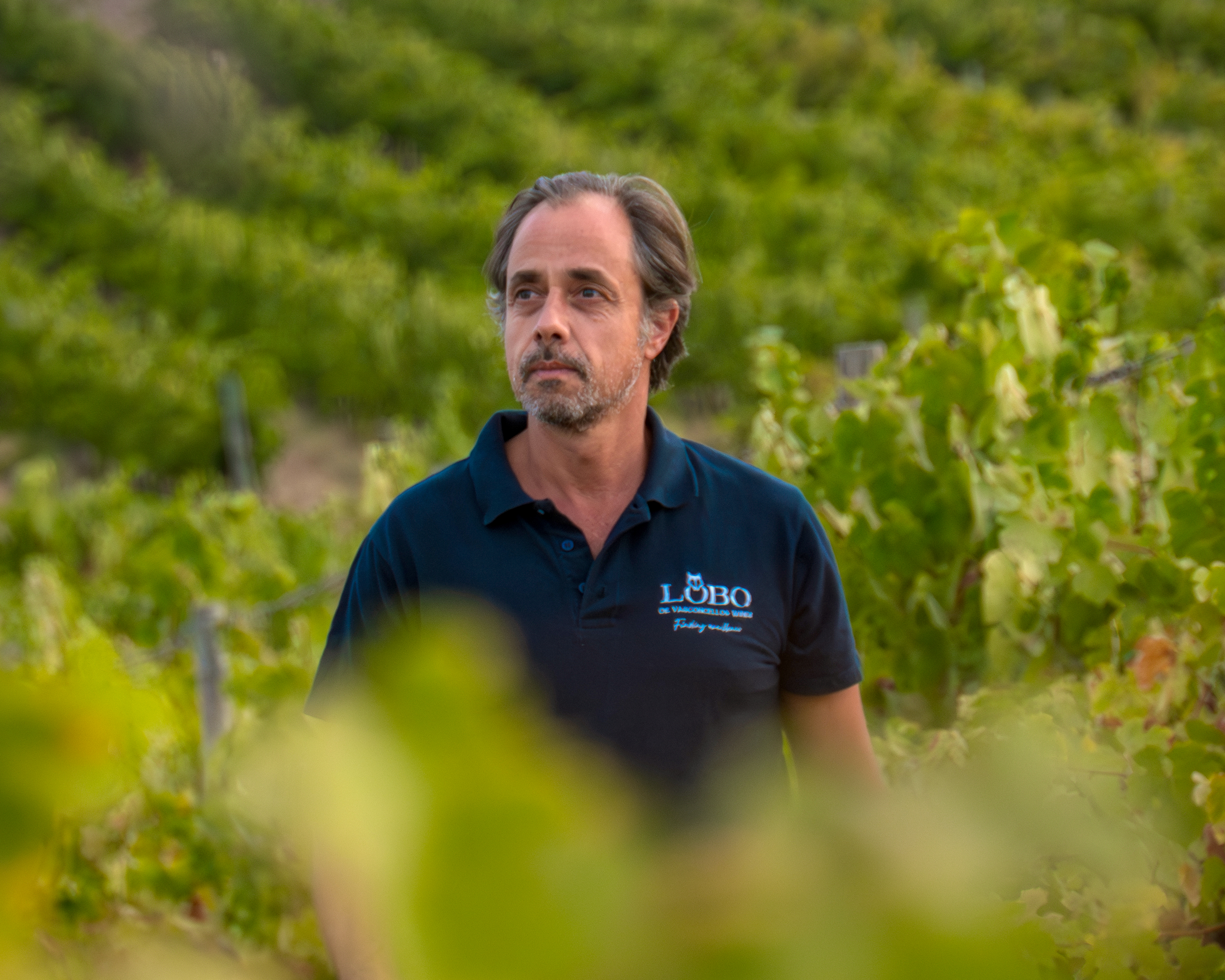 Lobo de Vasconcellos Wines
